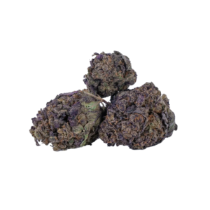 fleur-purple-cbd