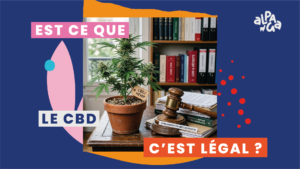 Blog réglementation