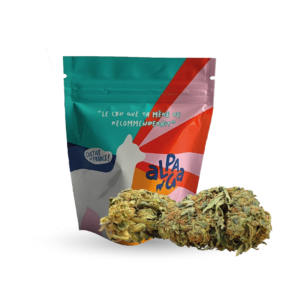 Mango fleur